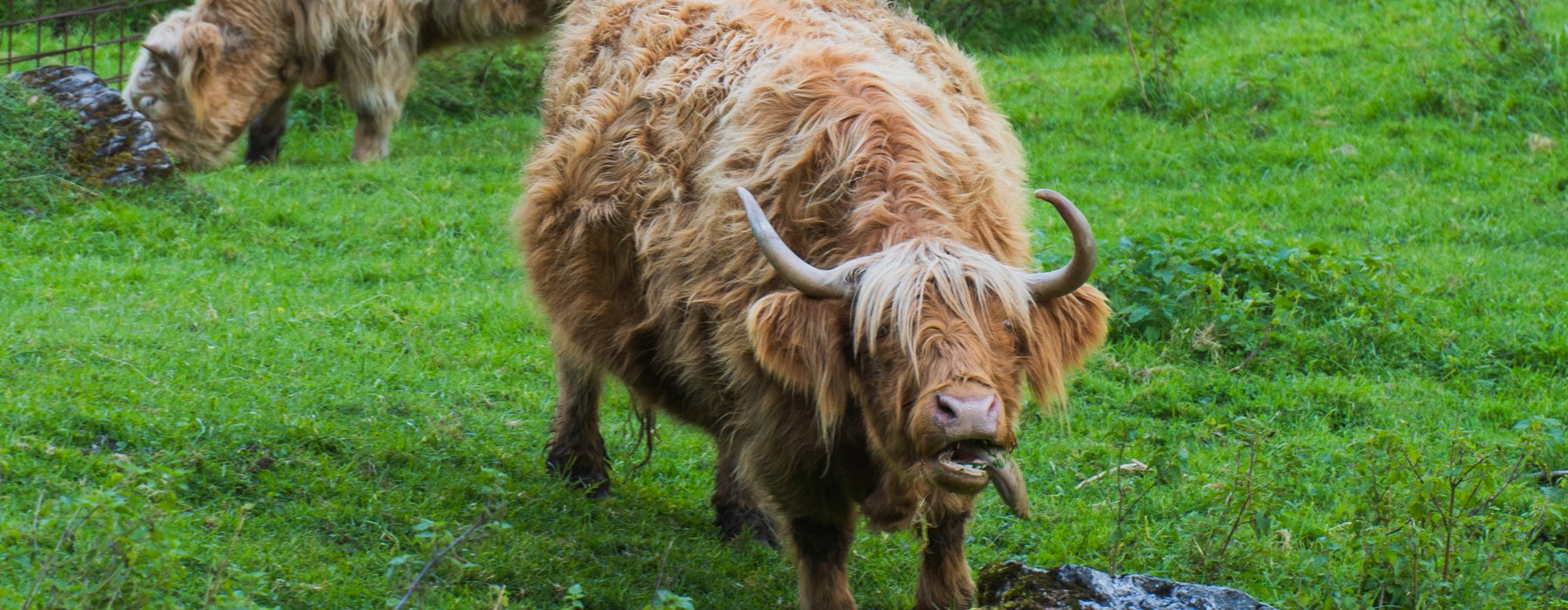 Wild & Freizeitpark Untertauern